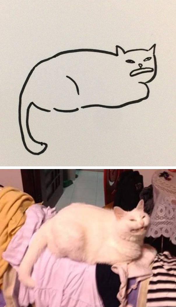 poorly drawn cats