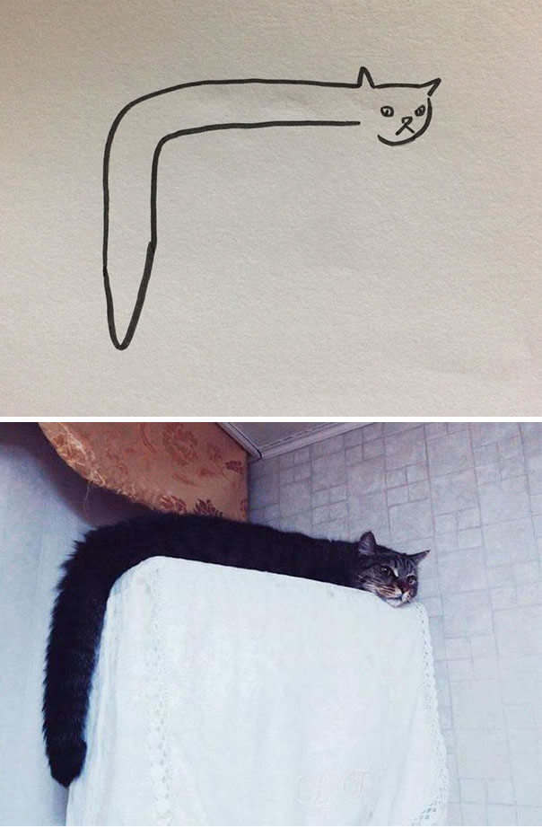 poorly drawn cats